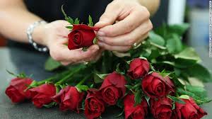 Valentine's day is all about showing the love. What Happens To The Valentine S Day Flowers That Don T Get Sold Cnn