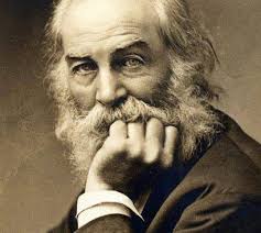 A friend sent me this poem fair play to him. He likes to be known as Captain