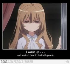 Every Single Day Toradora Anime Funny Anime Memes Funny