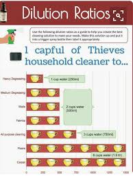 thieves cleaner dilution ratios essential oils cleaning