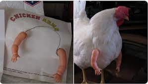 Kualitas ayam serama yang harganya bisa selangit. Aksesoris Ini Bisa Bikin Ayam Peliharaan Jadi Kekar Dan Lucu Okezone Lifestyle