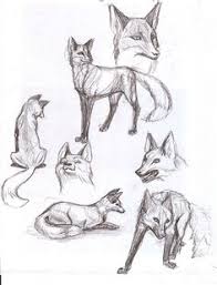 Mit der fuchs sitzend malvorlage aus der kategorie comics können sie nichts falsch machen! 100 Fuchs Zeichnen Ideen Fuchs Zeichnen Tiere Zeichnen Fuchs