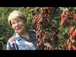 Le Jardin Foret Des Fraternites Ouvrieres En Belgique A Moucron Le Jardin De 2000 M De Joceline Et Gilbert Cardon Jardin Foret Permaculture Jardins