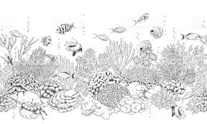 May 24, 2021 · korallen zum ausmalen : Unterwasser Bilder Zeichnen Novocom Top