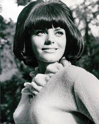 Nina Wayne's Instagram, Twitter & Facebook