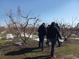 Στο νοσοκομείο τρίχρονο αγόρι που ήπιε χλωρίνη. G Kokoyras Epiase Meion 13 O Tyrnabos Syntriptiko Plhgma Sthn Topikh Oikonomia Eidhseis Nea Gia Larisa 8essalia Thleorash