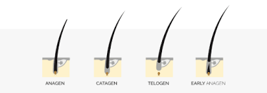 We did not find results for: Where Diy Lash Extensions Go Wrong Lash Affair