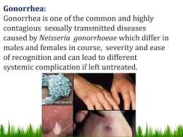 10 Sexually Transmitted Infections Found In Animals - Listverse