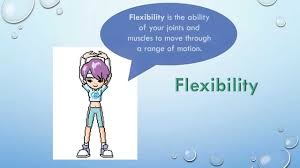 What does it take to reach a high level of physical fitness? The Five Components Of Health Related Fitness Youtube