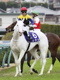 You need points to view. 0nnk8p26r5ahcm