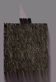 Image result for Anthospermum whyteanum