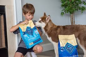 This diy dog treat recipe. Meet Our Furbaby Thor Learn How You Can Support Veterans With Blue Buffalo Nifty Mom