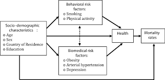 Zusätzliche zertifizierungen gewichtheben, workout mit kleingeräten, complex core fortbildung, . Projecting Health Ageing Trajectories In Europe Using A Dynamic Microsimulation Model Scientific Reports