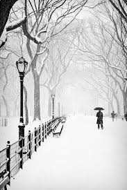 Black And White Nyc Photography The Mall B W Photo Central Park New York City Urban Nyc Etsy Winter Scenes Bw Photo Pictures