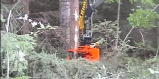 Maybe you would like to learn more about one of these? 7 Machines That Eat Trees For Lunch And Ask For More