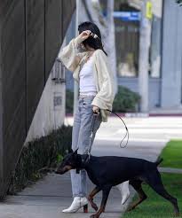 Contact kendall jenner on messenger. Kendall With Her Dog Six In La 17 12 Kendall Jenner Style Kendall Jenner Kendall And Kylie Jenner