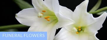 Birmingham's popularity amongst residents and tourists cannot be overstated. Home Sarahs Rose Garden Florists Quinton Birmingham
