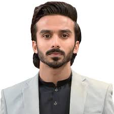 shoaibansari-092 (Shoaib Ansari) · GitHub