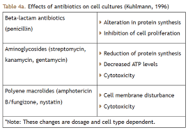 Natural media or synthetic media. What Are The Advantages And Disadvantages Of Antibiotics In Cell Culture Media Quora