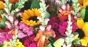 Navigate through the following map to find all the use the following map to find hotels, restaurants, gift shops, car rentals, travel agencies and other useful points of interests in jarrettsville and its. About Us And Business Hours Flowers By Bauers Greenhouses Jarrettsville Md 21084