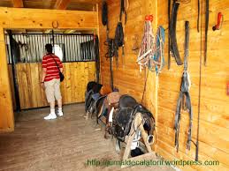 Located in vama, pensiunea arc bucovina features a bar, shared lounge, garden, and free wifi throughout the property. Popasul Acasa In Bucovina Jurnal De Calatorii