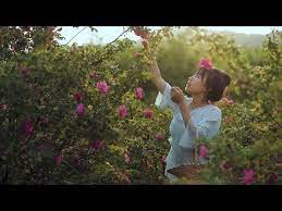 colorful flowers food excavating different ways of eating roses缤纷花食 悄悄挖掘玫瑰的不同吃法 liziqi channel youtube easy entertaining fantasy garb fun cooking