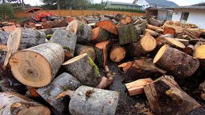 There is also a service called chipdrop that helps gardeners get free wood chip mulch deliveries from local arborists! Washington Man Gives Away Free Firewood To Families In Need
