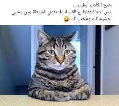 أسئلة للتسلية Funny Questions Facebook