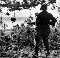 World War II photographs show American soldiers' fight for ...