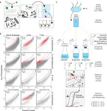 function driven single cell genomics uncovers cellulose