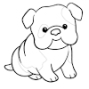 While other colors of this breed are largely defined by single colors, or bicolor ratios, sable dogs are more homogenous.that is, the coloring is more even throughout without distinct areas of one color or another. 1