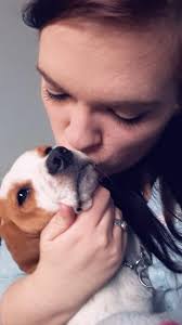 Still unable to locate my baby girl willow anyone know where she is just  want my little girl back xx