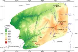 Image result for Helinus spartioides