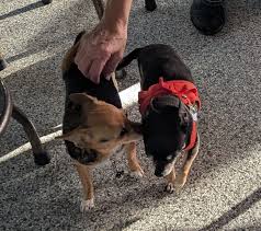 Congratulations to Carlene Long. She is acting moose riders President thank  you Paul for everything you did for the most riders Paul stepped down  yesterday. Colleen was next in line she was