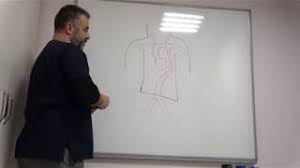 Prof Dr Ahmet Akgul Kalp Hasta Yorumlari 1 Kisim Kalp Ameliyati