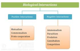 Different Types Of Population Interactions Interactive Mutualism Evolutionary Biology