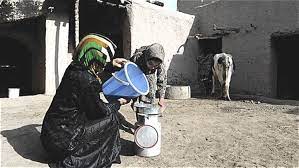 Since 2012, the country has been conducting ipc acute food insecurity analyses in all 34 provinces once a year. Un Rising Food Insecurity Crippling Afghanistan