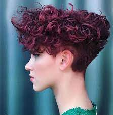 Pin By Danyliuk Iryna On Geverfd Haar 02 Short Curly Hair Curly Hair Styles Short Curly Haircuts