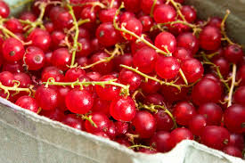 Image result for berries meaning
