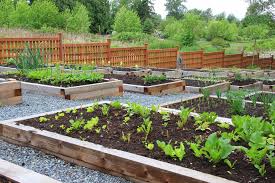 The effects of pesticides on humans. 5 Ways To Get Rid Of Pests Without Chemicals Miele Guide