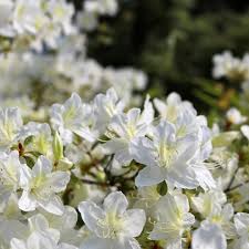 Pin Auf News Von Instagram