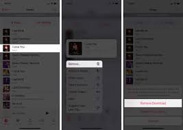 How To Delete Songs From Apple Music Ultimate Guide Igeeksblog