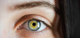 Im gesunden auge ist sie. Juckende Augen Ursachen Und Hausmittel Die Helfen Utopia De
