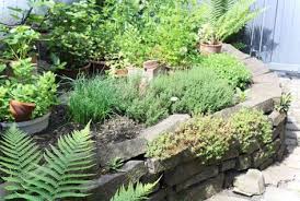 Welche Krauter Sind Winterhart Und Welche Nicht Gruneliebe Naturnaher Garten Mediterraner Garten Pflegeleichter Garten