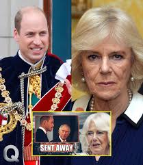 Breaking News: William Ascends to the Throne, Immediately Expels Camilla  from the Royal Family: "You Are Not My Mother."...Full story below👇👇👇