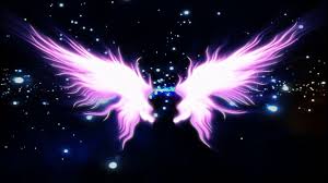 Wedding Bride Appearances Angel Wings Dynamic Background Video Angel Wings Background Angel Wings Images Green Background Video