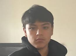 Went straight for their gun': family questions teen's death by police