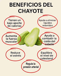 Ligero, fresco y lleno de beneficios. El chayote es una forma simple de  comer mejor todos los días. Cuando busque bienestar con versatilidad, el  chayote es una gran elección.