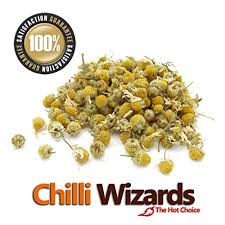 Check spelling or type a new query. Chamomile Camomile Wild Harvested Loose Dried Flowers Herbal Tea 50g 1kg 500g Buy Online In Andorra At Andorra Desertcart Com Productid 66236228