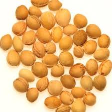 Hey:)heute zeig ich euch mal ein paar perspektiven, welche berufliche richtung ihr mit dem studium einschlagen könnt viel spaß& bis dann:)instagram. Woher Bekommt Man Kirschkerne Her Kaufen Kirschen